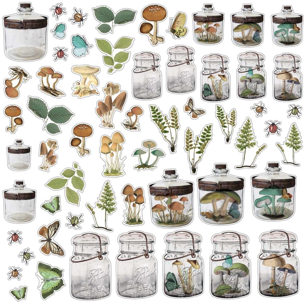 49 and Market Vintage Artistry Nature Study Specimen Acetate Shapes NS-23220 Glass Jars