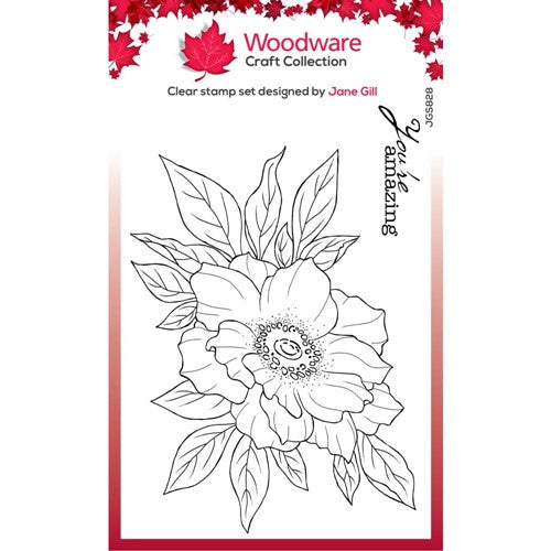 Simon Says Stamp! Woodware Craft Collection ANEMONE Clear Stamps jgs828