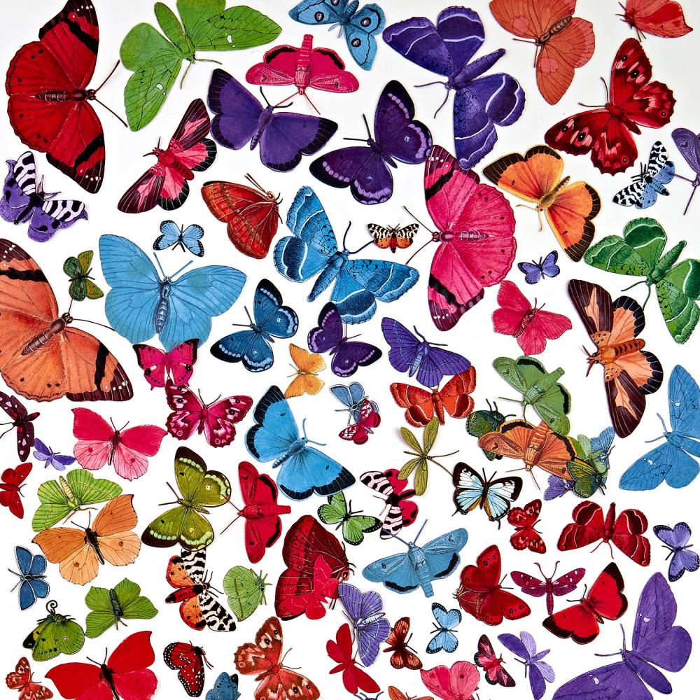 49 and Market Spectrum Gardenia Butterfly Laser Cut Elements SG-23640 Butterflies