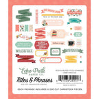 Echo Park Year In Review Titles And Phrases yir337032 Back of Packaging View