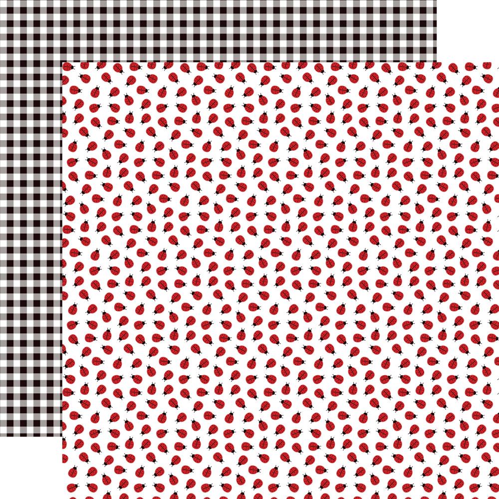 Echo Park Little Ladybug 12 x 12 Collection Kit llb347016 Little Ladybug