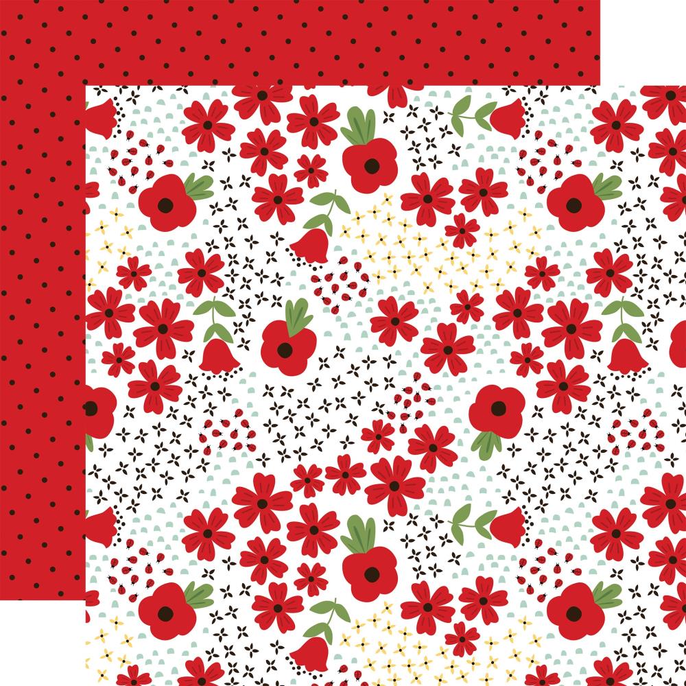 Echo Park Little Ladybug 12 x 12 Collection Kit llb347016 Ladybug Garden