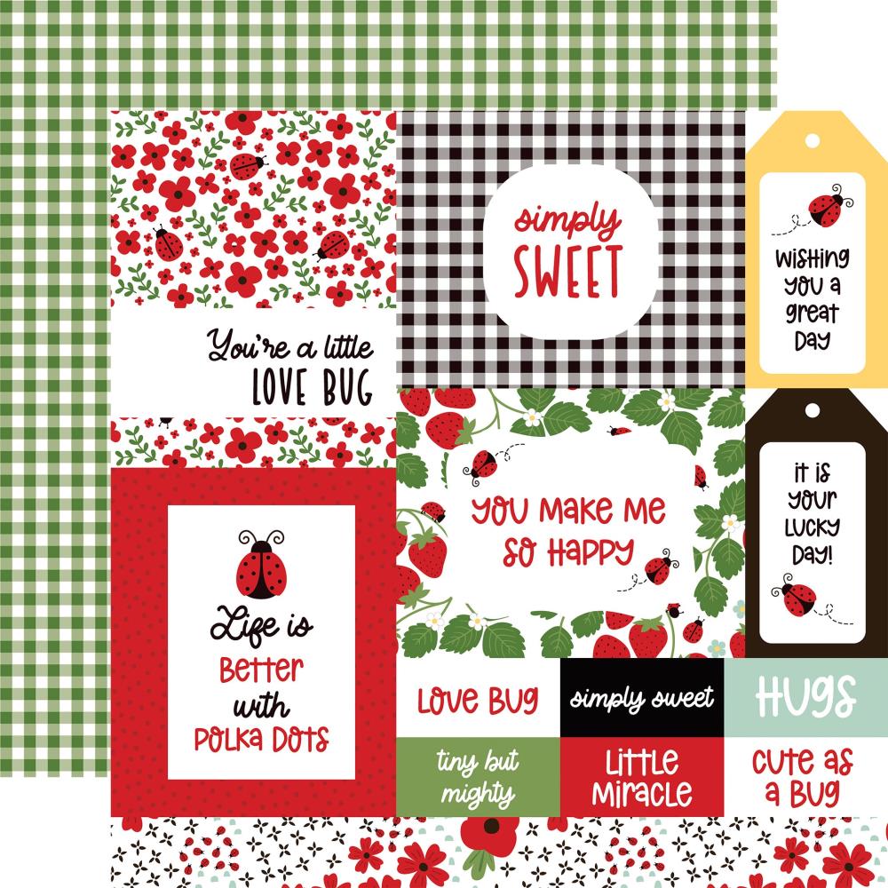 Echo Park Little Ladybug 12 x 12 Collection Kit llb347016 Mutli Journaling Cards