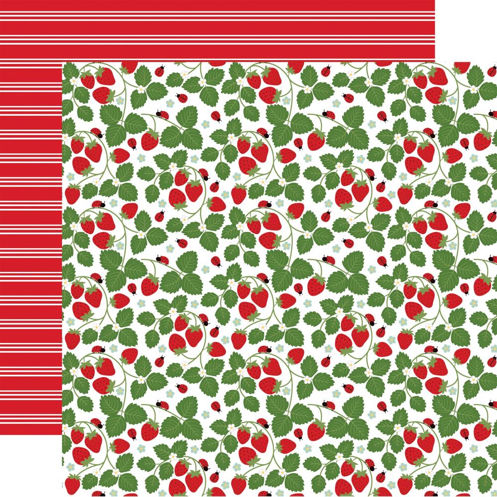 Echo Park Little Ladybug 12 x 12 Collection Kit llb347016 Sweet Strawberries