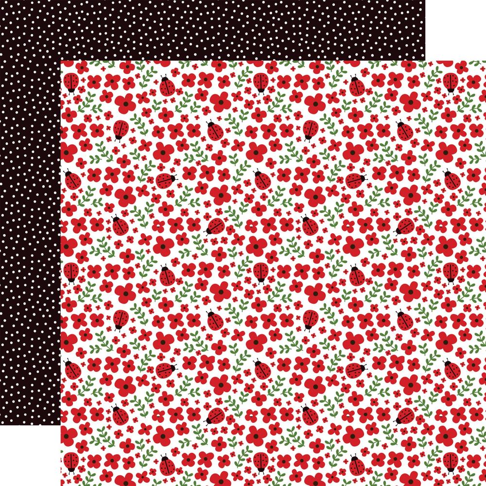 Echo Park Little Ladybug 12 x 12 Collection Kit llb347016 Ladybug Hugs