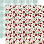 Echo Park Little Ladybug 12 x 12 Collection Kit llb347016 Cute As A Bug
