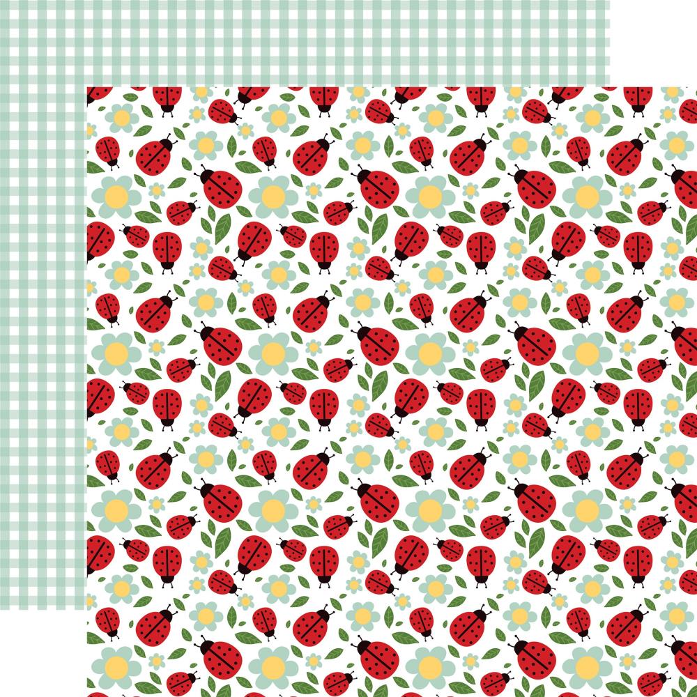 Echo Park Little Ladybug 12 x 12 Collection Kit llb347016 Cute As A Bug
