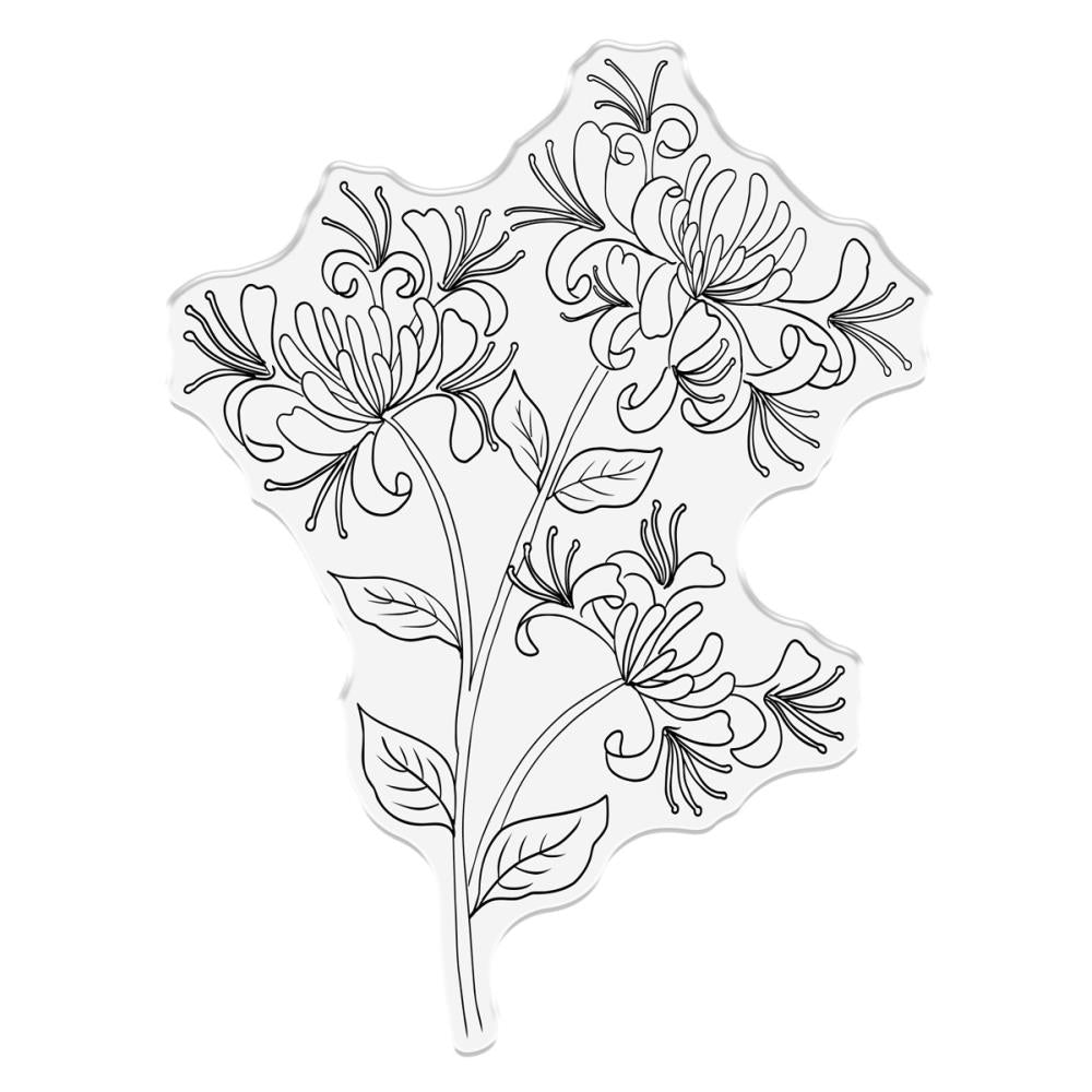 Crafter's Companion Honeysuckle Flower Clear Stamp ng-hs-ca-st-hofl Secondary Image