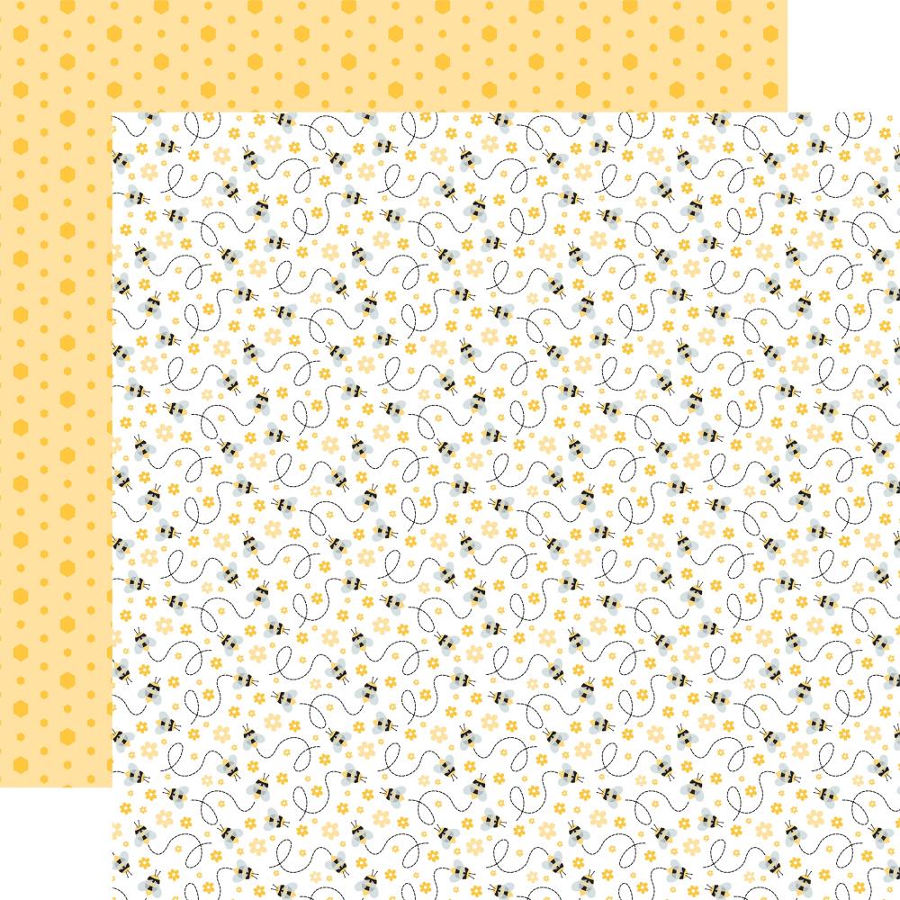 Echo Park Happy As Can Be 12 x 12 Collection Kit hcb376016 Busy Busy Bees