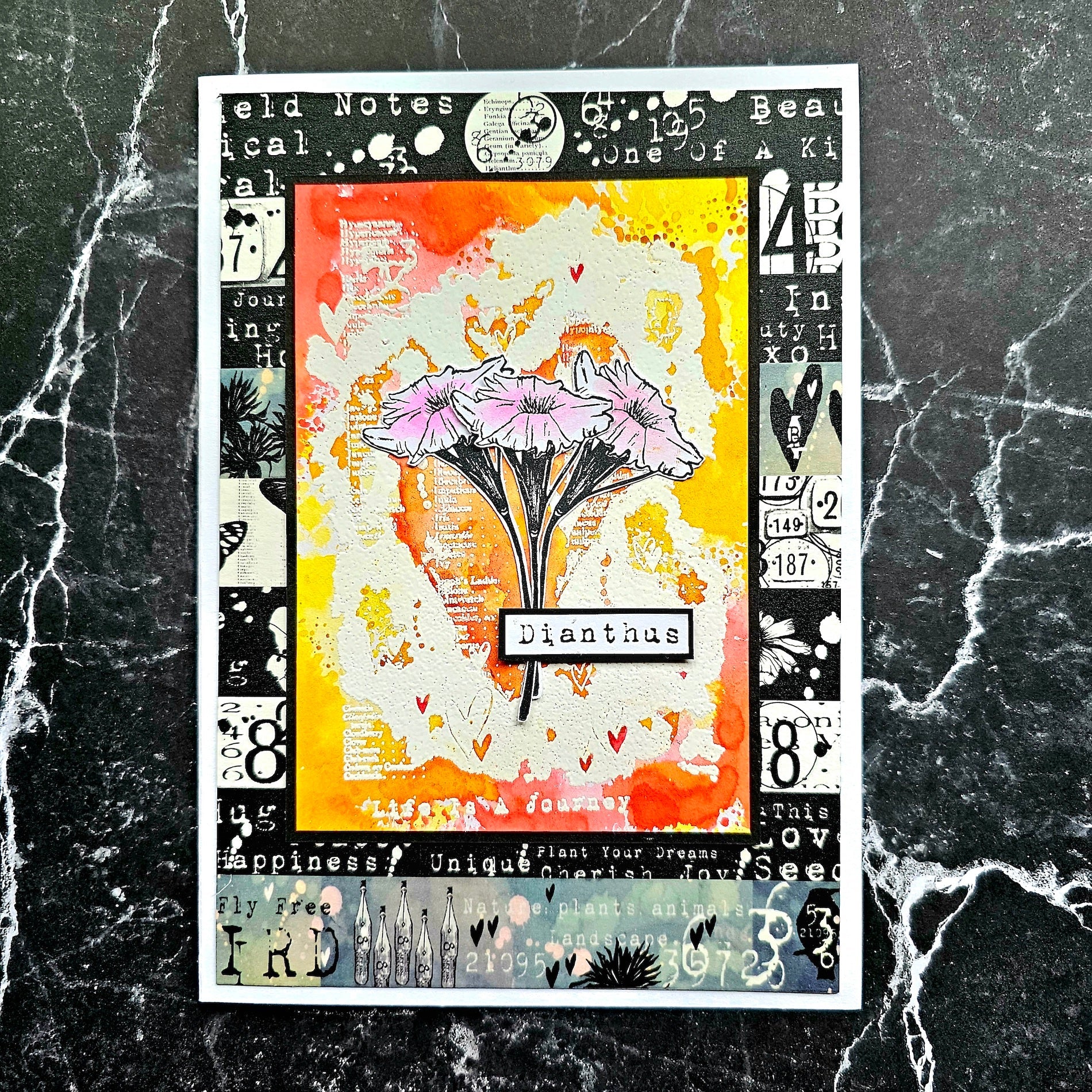 AALL & Create Nemesia Dianthus A6 Clear Stamps 1061 flowers