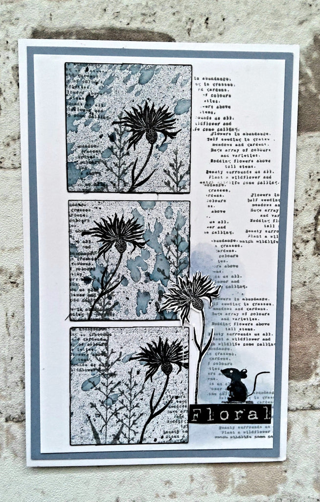AALL & Create Cornflower A7 Clear Stamps 1065 floral