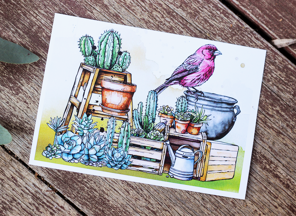 AALL & Create Cactus Climbers A6 Clear Stamps 1071 cacti