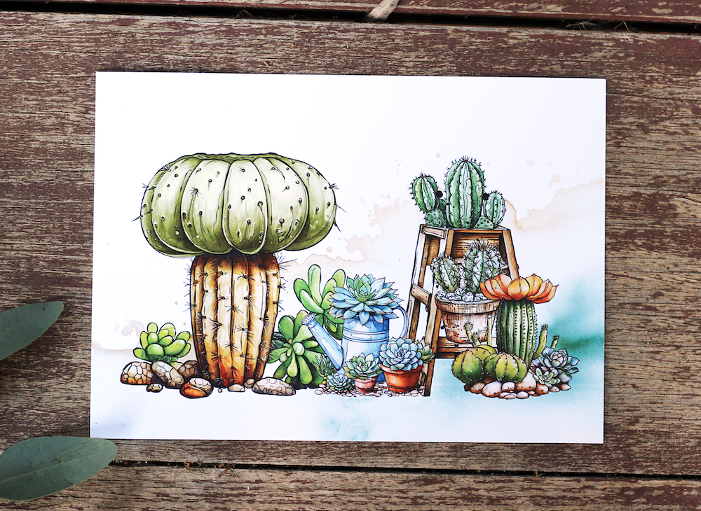 AALL & Create Botanical Bliss A6 Clear Stamps 1073 cacti