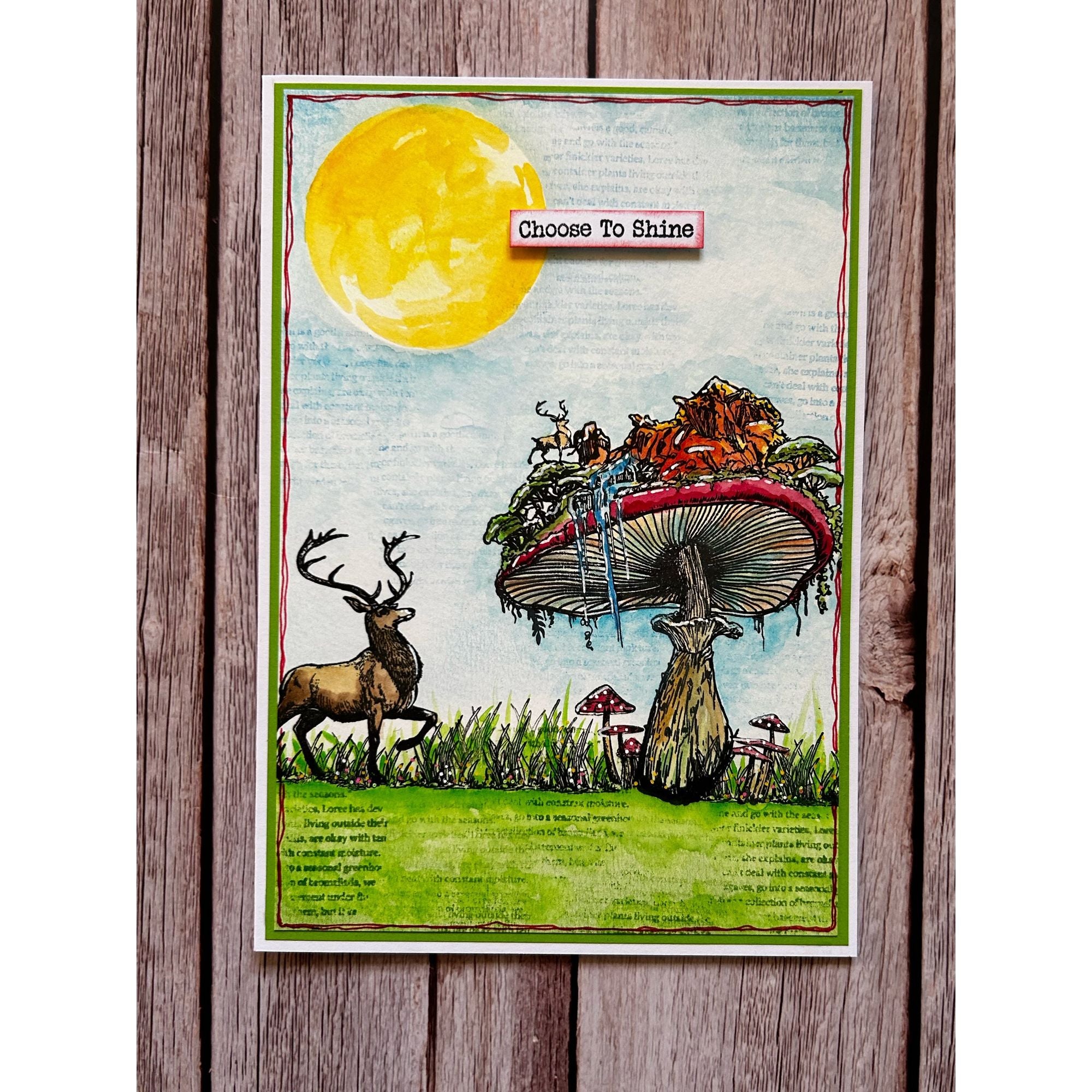AALL & Create Clifftop Fungarismo A6 Clear Stamps 1095 choose to shine
