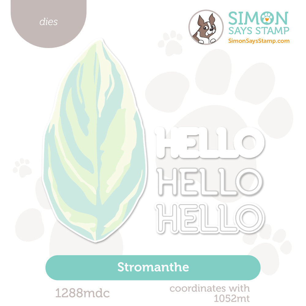 Simon Says Stamp Stromanthe Wafer Dies 1288mdc Favorite Things