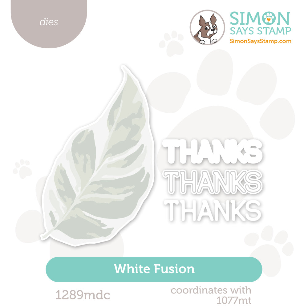Simon Says Stamp White Fusion Wafer Dies 1289mdc Rain or Shine