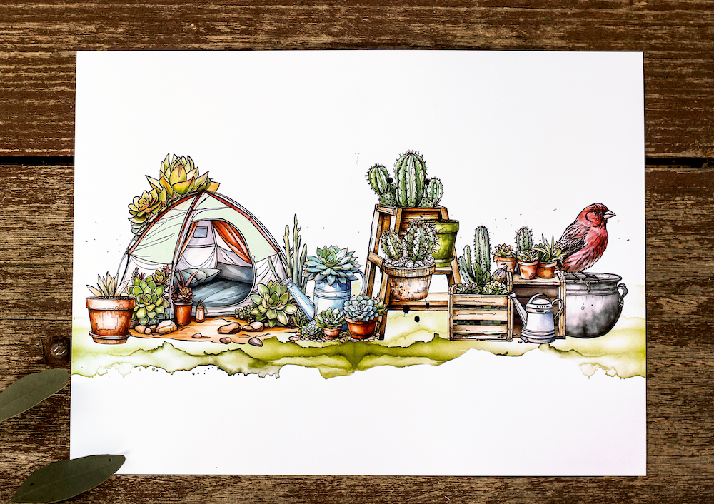 AALL & Create Camp Cactus A6 Clear Stamps 1089 cactus