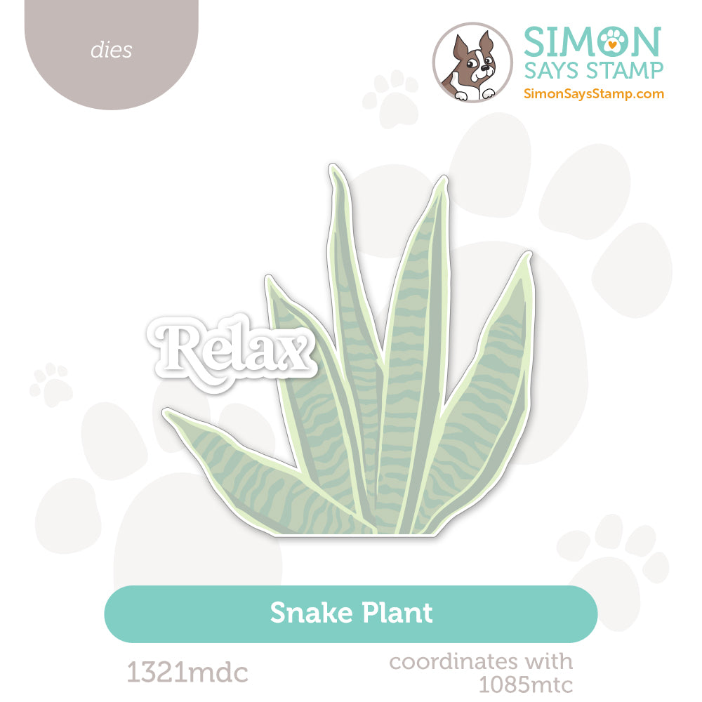 Simon Says Stamp Snake Plant Wafer Dies 1321mdc Moments in Time