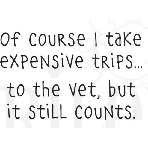 Riley And Company Funny Bones Trips To The Vet Clear Stamp rwd-1356