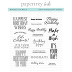 Papertrey Ink Birthday Your Way II Clear Stamps 1561