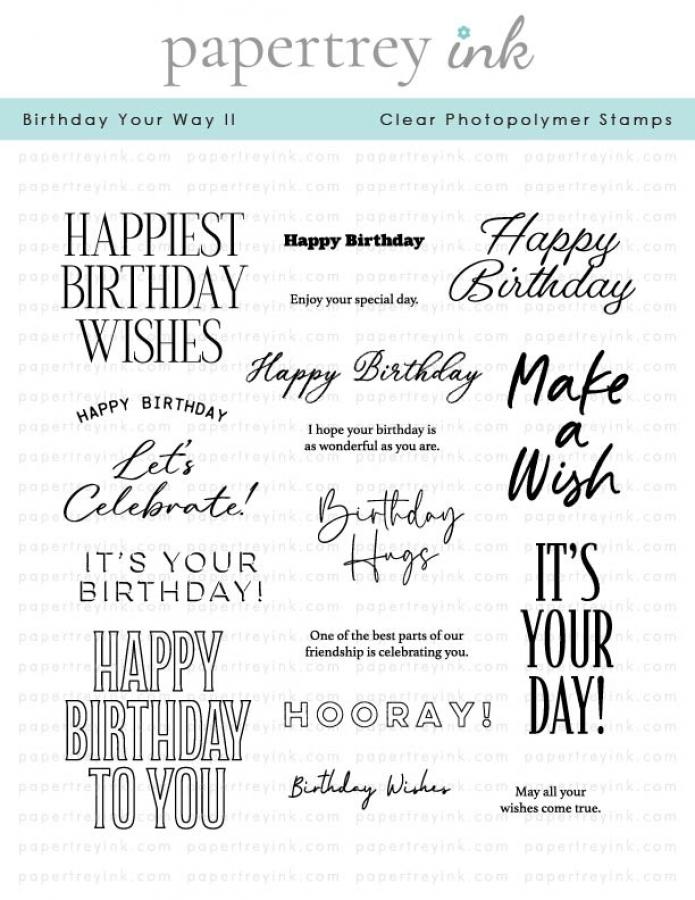 Papertrey Ink Birthday Your Way II Clear Stamps 1561