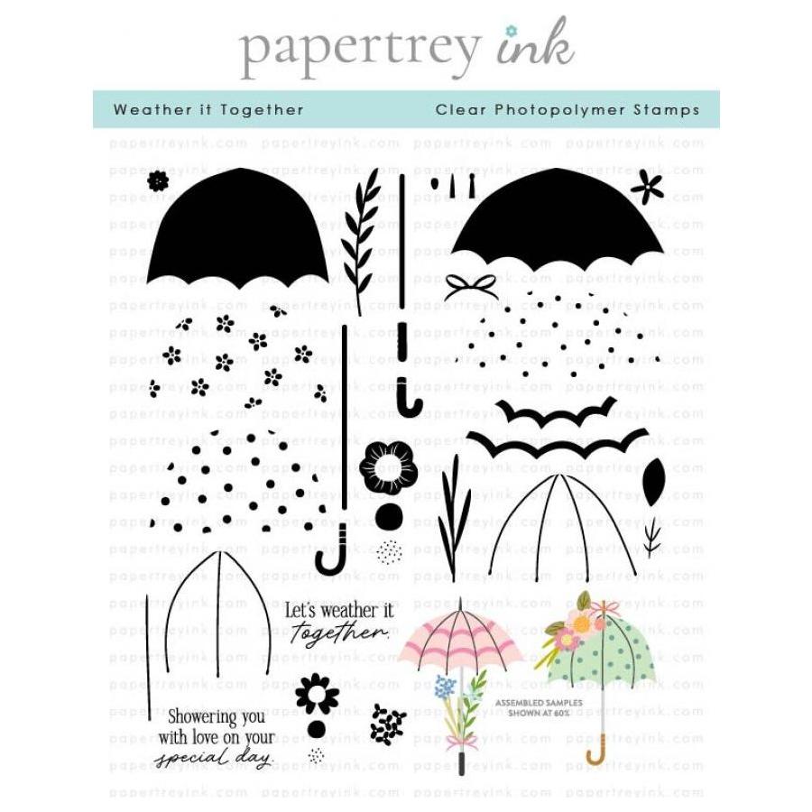Papertrey Ink Weather it Together Clear Stamps 1563