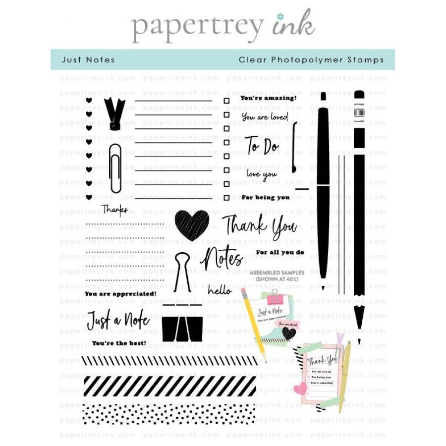 Papertrey Ink Just Notes Clear Stamps 1571