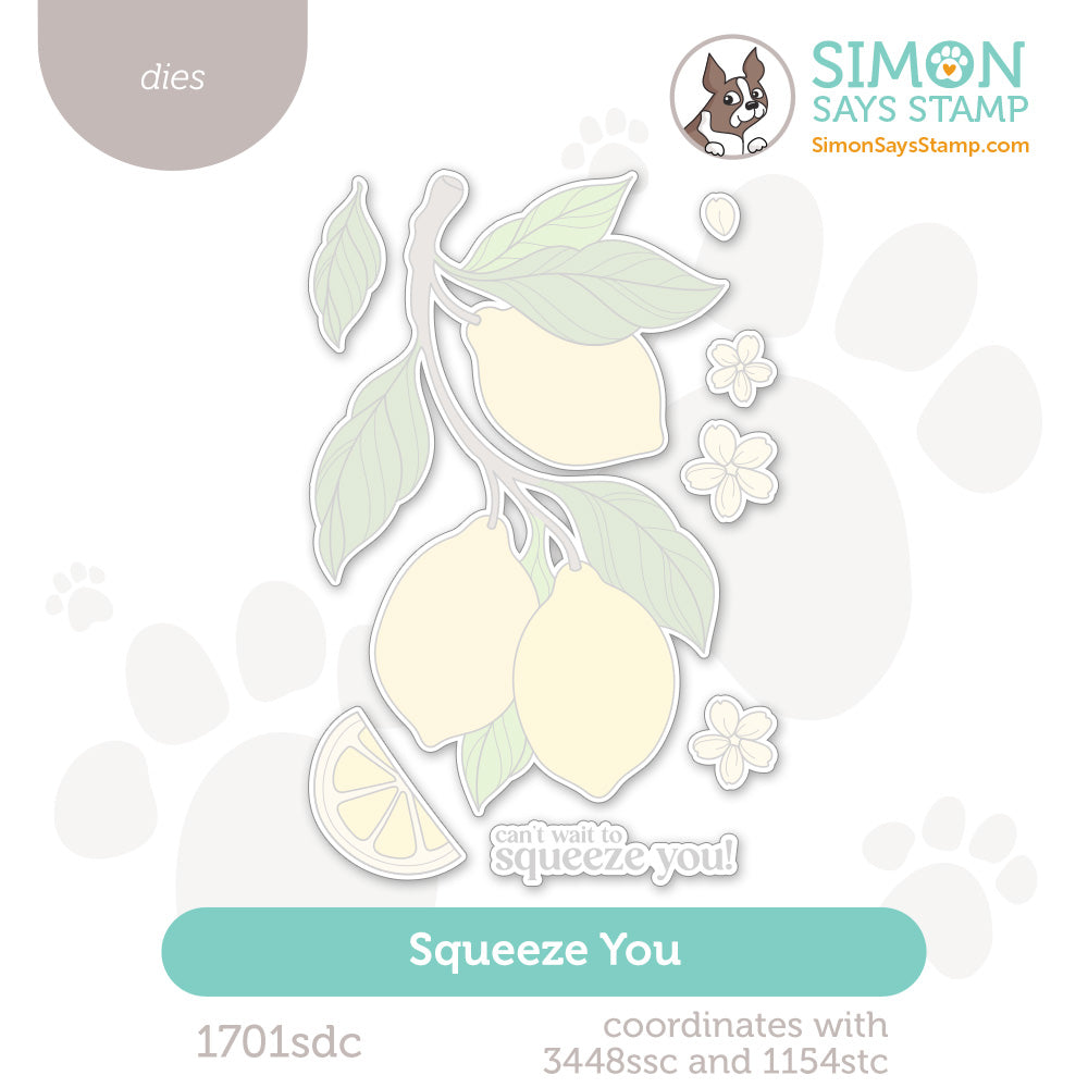 Simon Says Stamp Squeeze You Wafer Dies 1701sdc Every Happiness