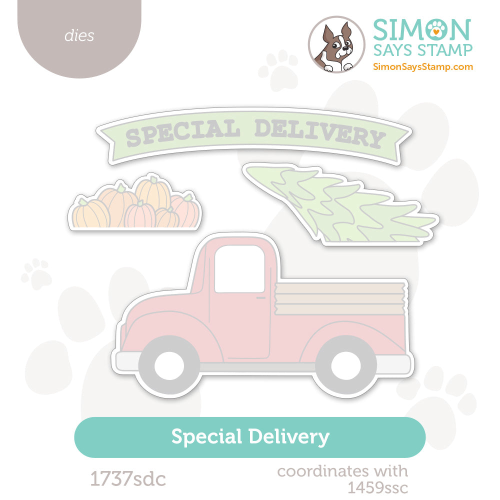 Simon Says Stamp Special Delivery Wafer Dies 1737sdc