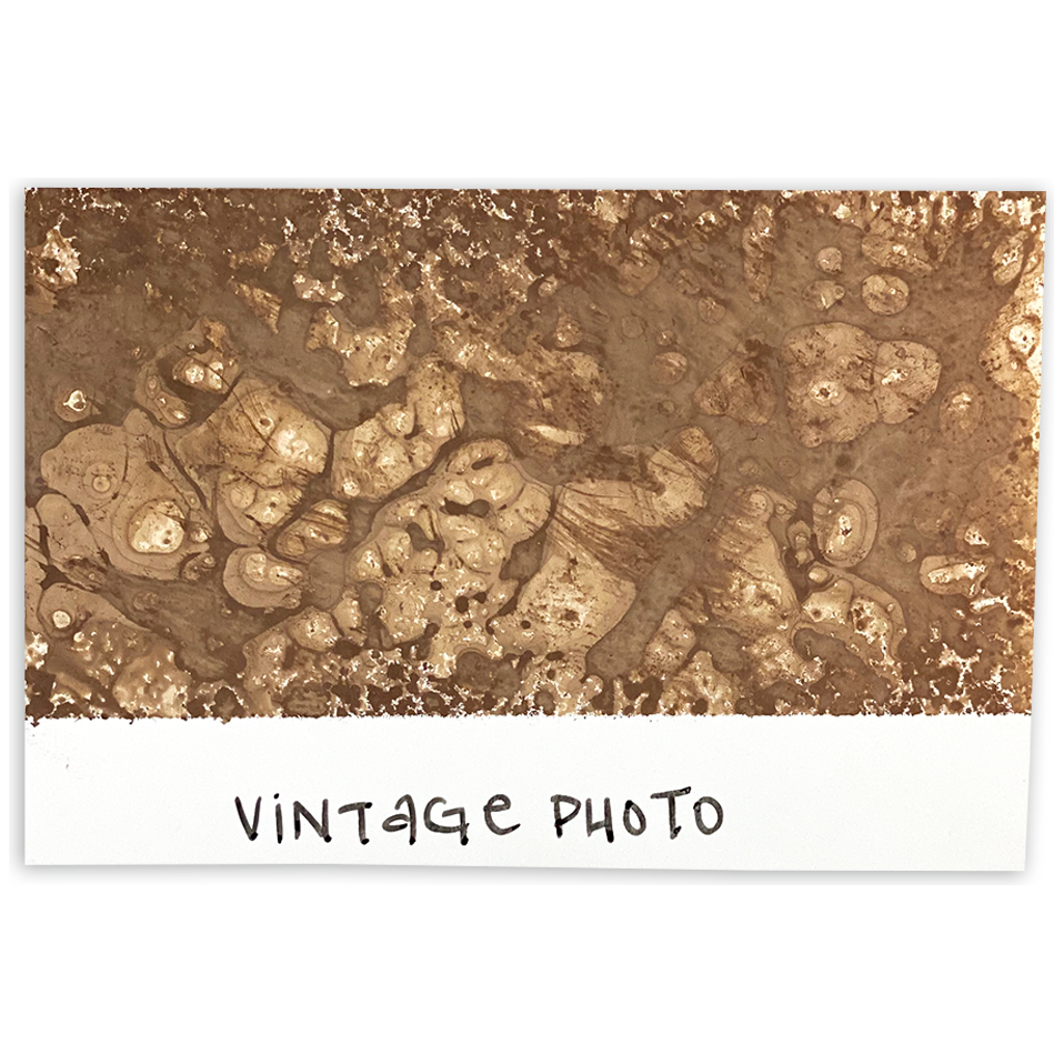 Tim Holtz Distress Spray Stain Vintage Photo Ranger TSS42594 Color Swatch