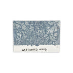 Tim Holtz Distress Spray Stain Weathered Wood Ranger TSS42617 Color Swatch