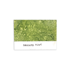 Tim Holtz Distress Spray Stain Crushed Olive Ranger TSS42228 Color Swatch