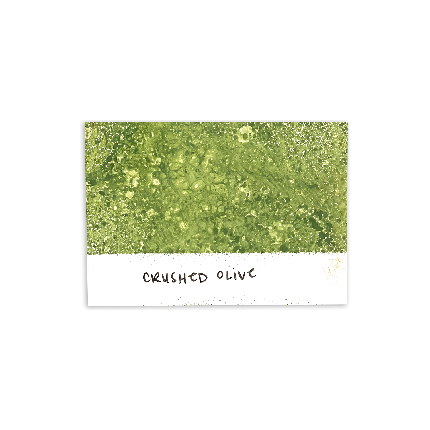 Tim Holtz Distress Spray Stain Crushed Olive Ranger TSS42228 Color Swatch
