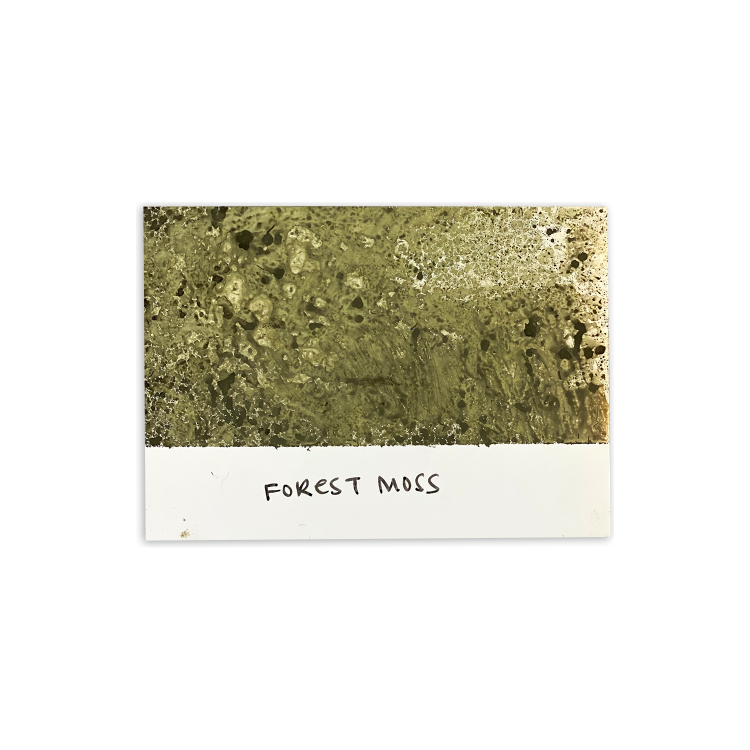 Tim Holtz Distress Spray Stain Forest Moss Ranger TSS42297 Color Swatch