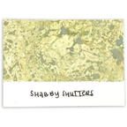Tim Holtz Distress Spray Stain Shabby Shutters Ranger TSS42488 Color Swatch