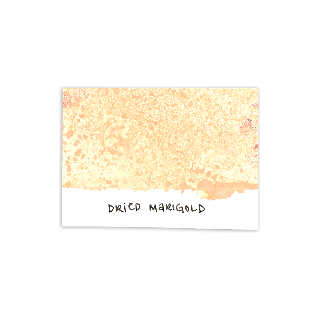 Tim Holtz Distress Spray Stain Dried Marigold Ranger TSS42235 Color Swatch