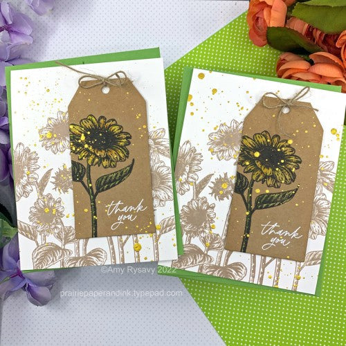 Simon Says Stamp! Tim Holtz Distress Watercolor Pencils SETS 1, 2, 3 BUNDLE Ranger ranger162 | color-code:ALT14