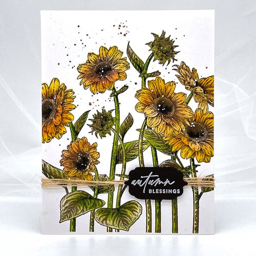 Simon Says Stamp! Simon Says Stamps and Dies SUNFLOWER FIELDS set562sf | color-code:ALT3