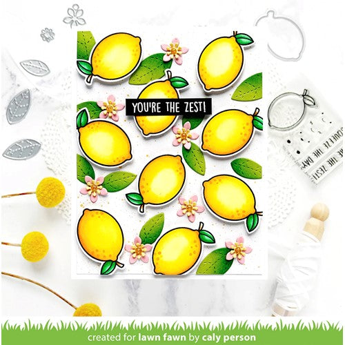 Simon Says Stamp! Lawn Fawn SET YOU'RE THE ZEST Clear Stamps and Dies lfytz | color-code:ALT2