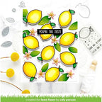 Simon Says Stamp! Lawn Fawn SET YOU'RE THE ZEST Clear Stamps and Dies lfytz | color-code:ALT2