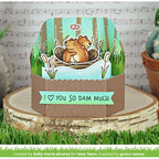 Simon Says Stamp! Lawn Fawn SET SO DAM MUCH Clear Stamps and Dies lfsdm