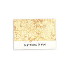 Tim Holtz Distress Spray Stain Scattered Straw Ranger TSS42464 Color Swatch