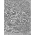 Tim Holtz Distress Crackle Paste Translucent Ranger tda79651 Secondary Image