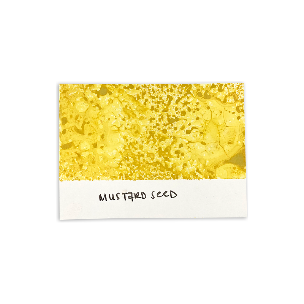 Tim Holtz Distress Spray Stain Mustard Seed Ranger TSS42358 Color Swatch