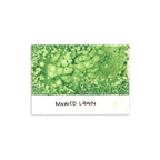 Tim Holtz Distress Spray Stain Mowed Lawn Ranger TSS42341 Color Swatch