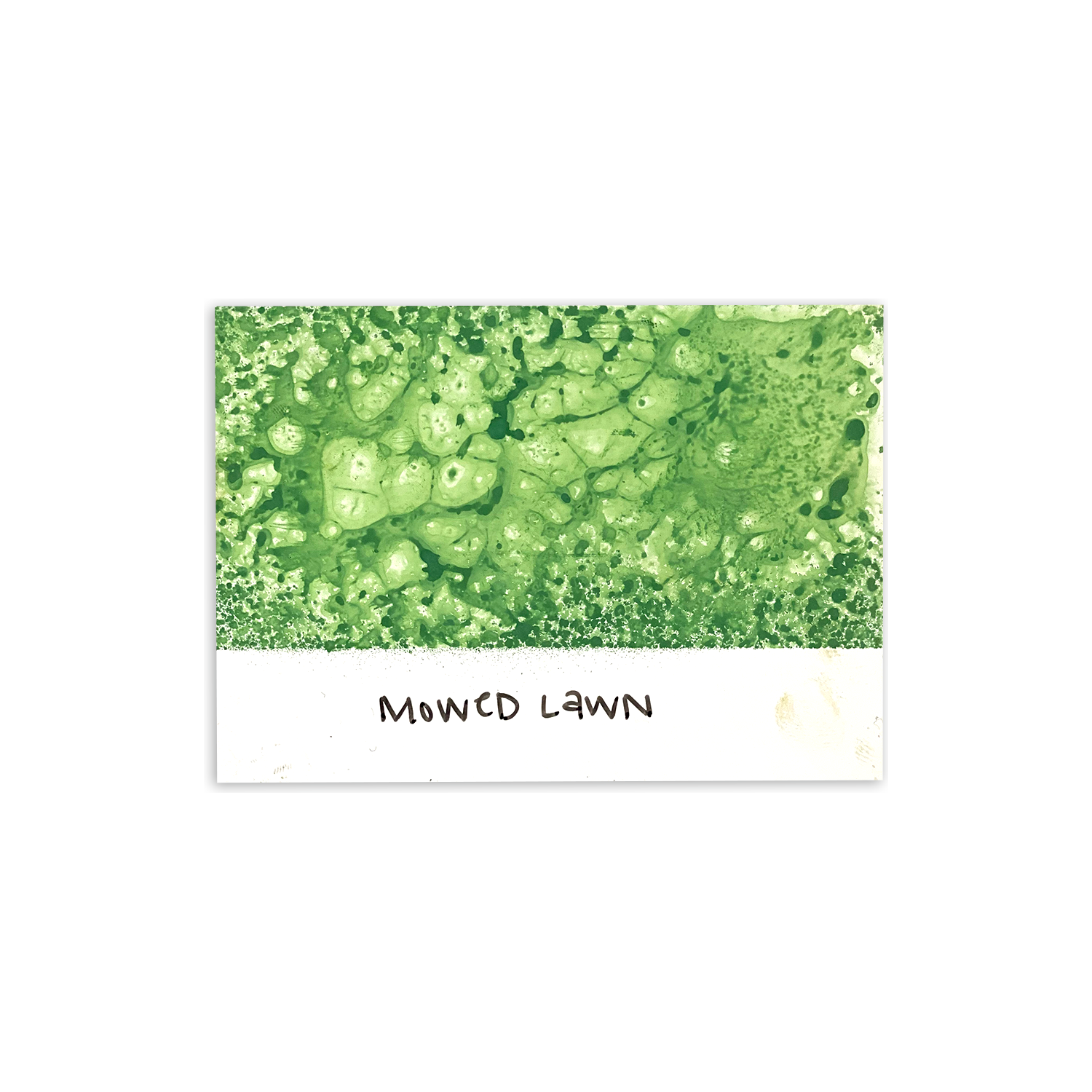 Tim Holtz Distress Spray Stain Mowed Lawn Ranger TSS42341 Color Swatch