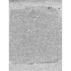 Tim Holtz Distress Crackle Paint Translucent Ranger tdc80411 Secondary Image