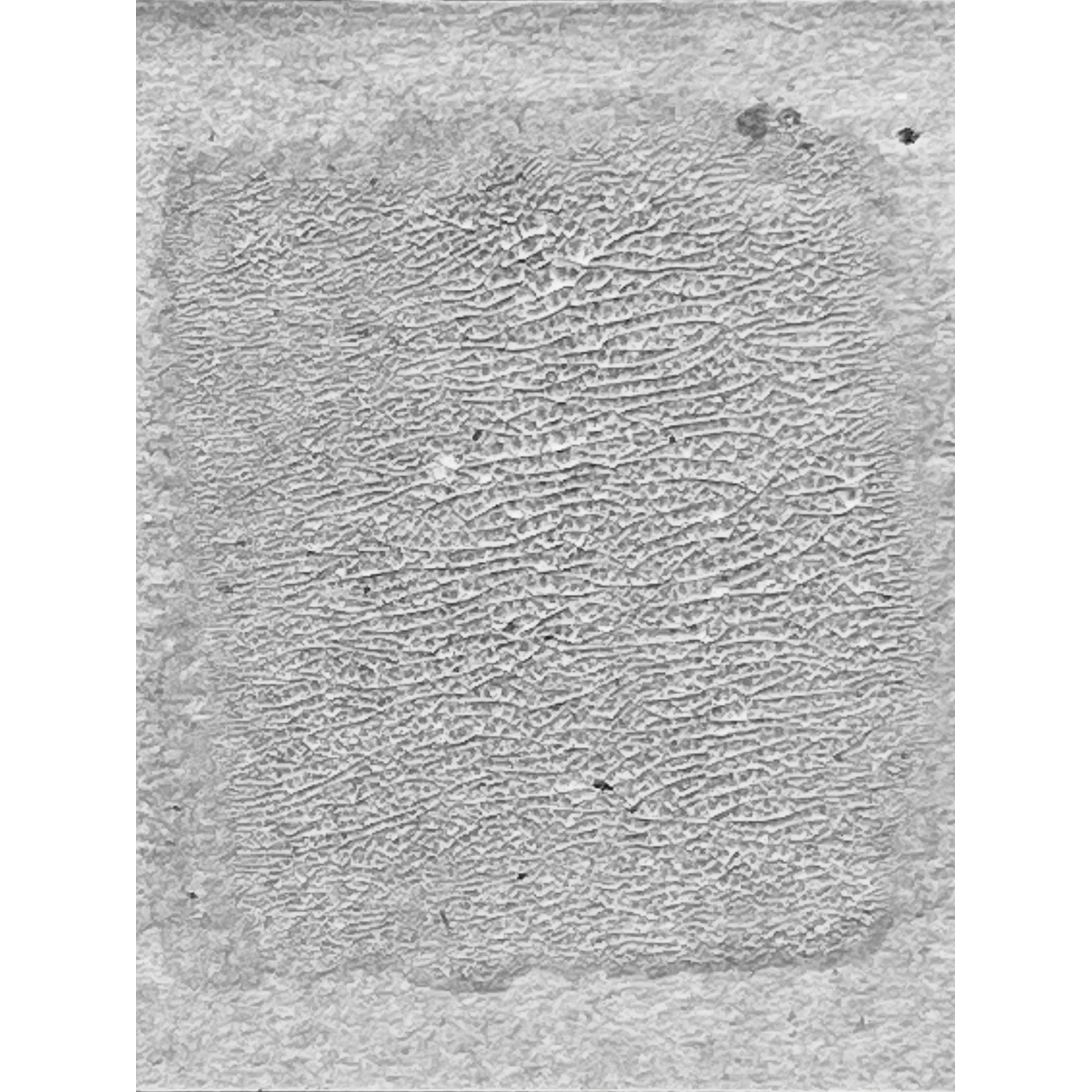 Tim Holtz Distress Crackle Paint Translucent Ranger tdc80411 Secondary Image