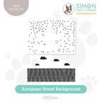 Simon Says Clear Stamps European Street Background 2003ssc Smitten