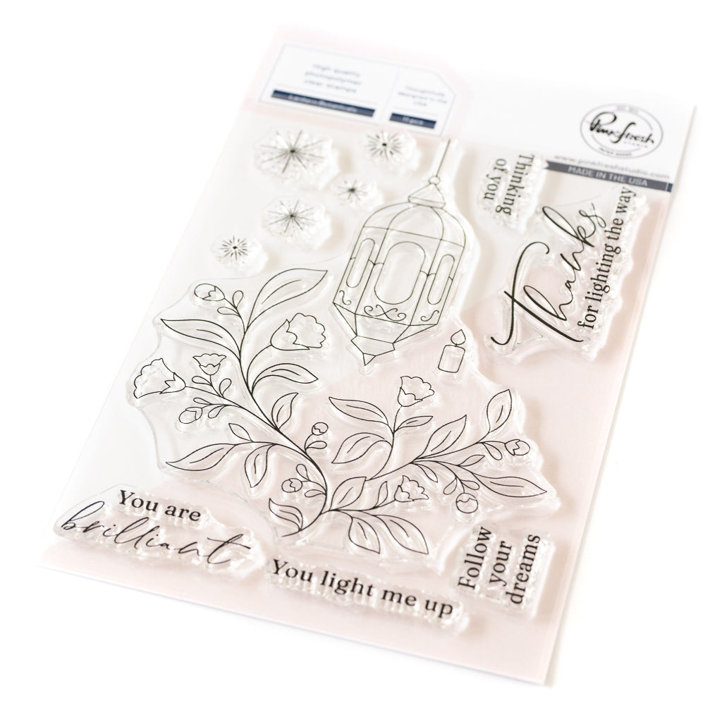 Pinkfresh Studio Lantern Botanicals Bundle Clear Stamp Set